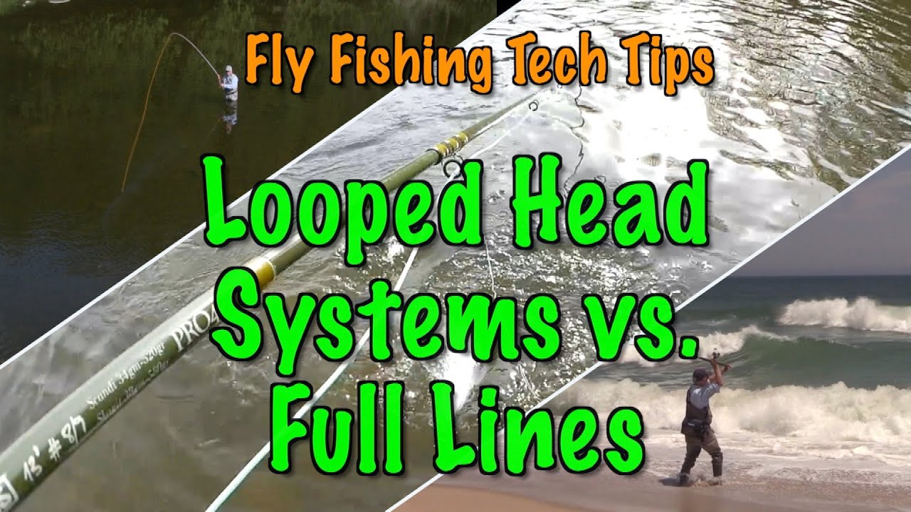 Fly Fishing Tech Tips: Looped Head System vs Full Integrated Fly Lines
