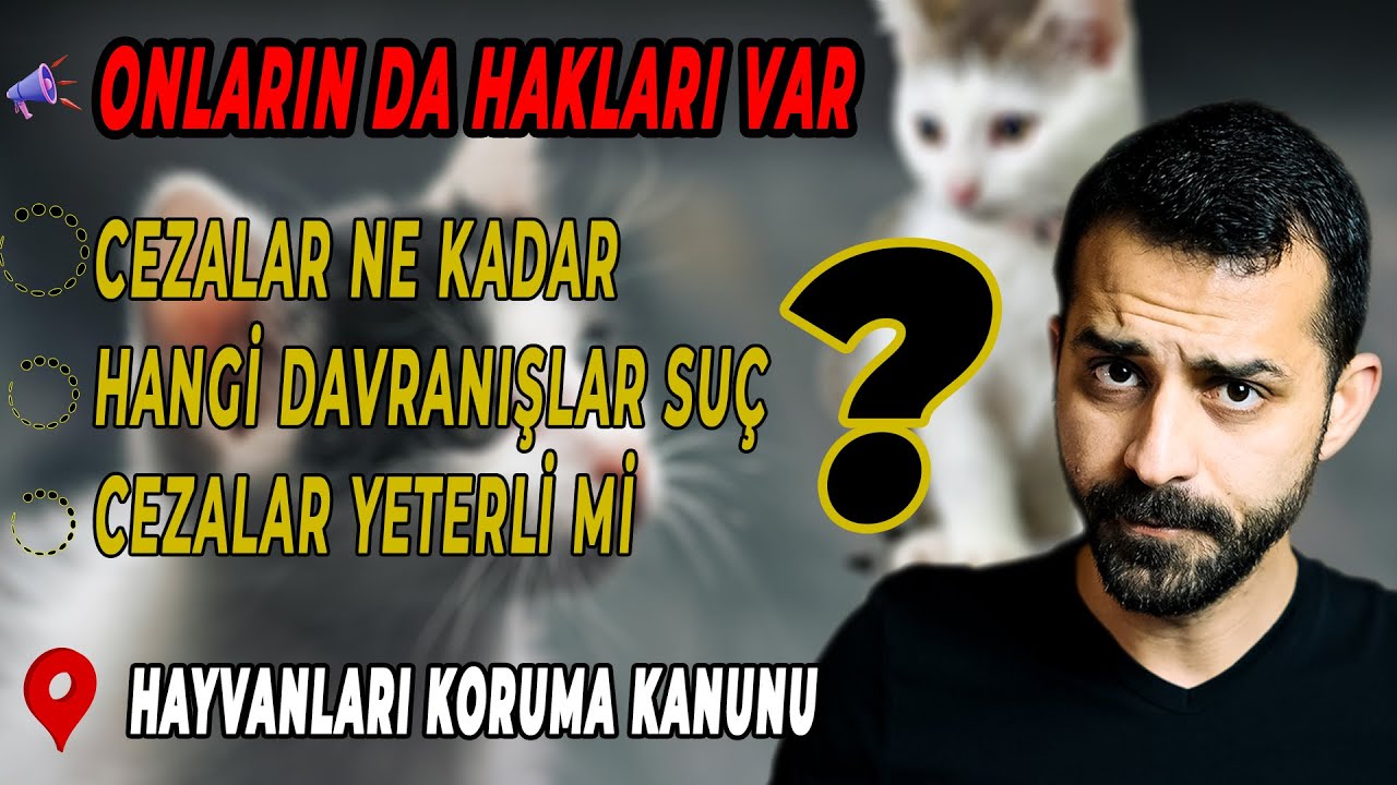 HAYVAN HAKLARI, İHLALİ VE CEZALARI