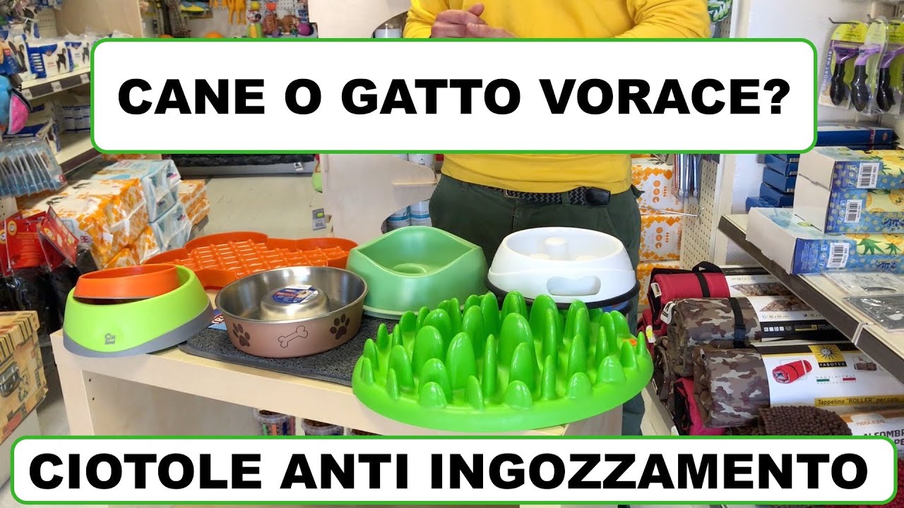Ciotole anti ingozzamento: cosa sono, perché utilizzarle, quali scegliere