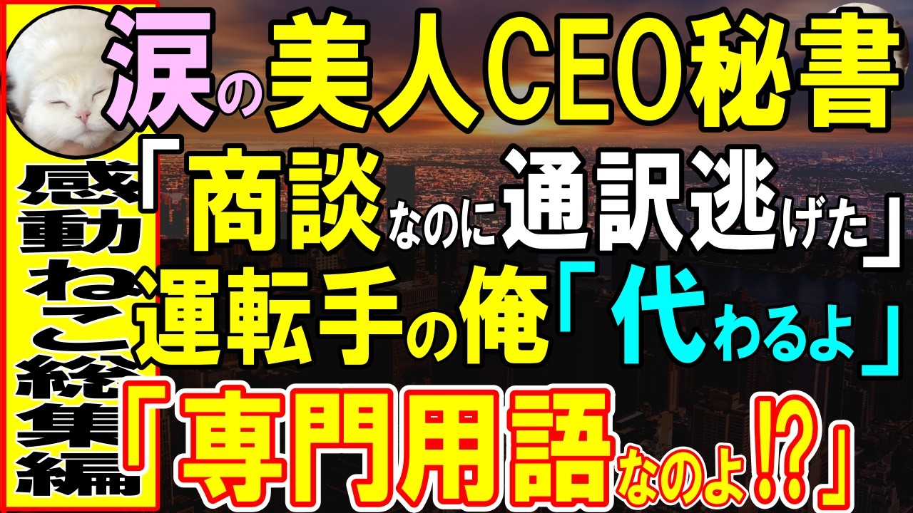 【感動する話】マサチューセッツ工科大卒を隠し、役員運転手の俺。ある日、海外企業との大きな商談のためのプレゼン当日、通訳が逃亡→俺が通訳を代わると秘書「どういう事？」実は…【いい話・泣ける話・朗読】