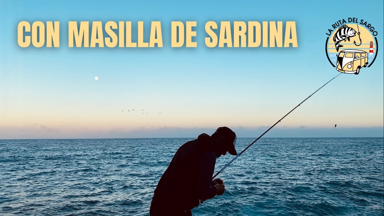 C&oacute;mo pescar SARGOS A BOYA EN TENERIFE con el maestro JONATHAN FLEITAS (Canarias)