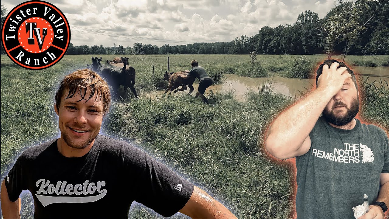 Can we Catch a Bull?? Bryce Mitchell on the Raw egg Diet.