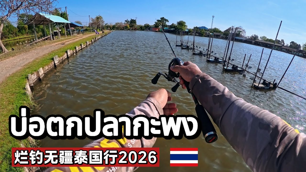 (EP119) 200泰珠钓一天！别问我为什么老是来泰国堕落。บ่อตกปลากะพง (หนุ่ม)