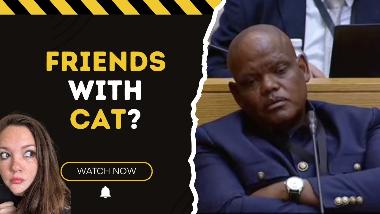 The Matlala Connection & 192 Criminal Charges: Inside Phahlane’s Parliament Testimony