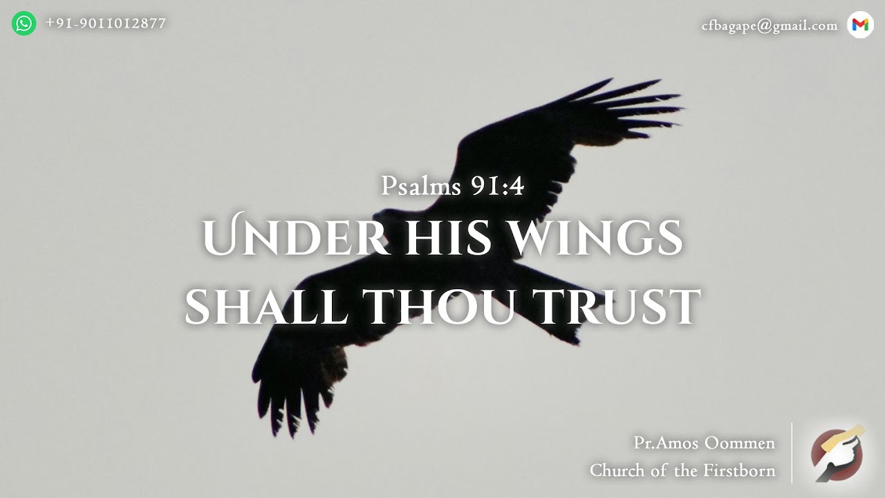 07.01.2026 - Bible Study – Under his wings shall thou trust - Psalms 91:4