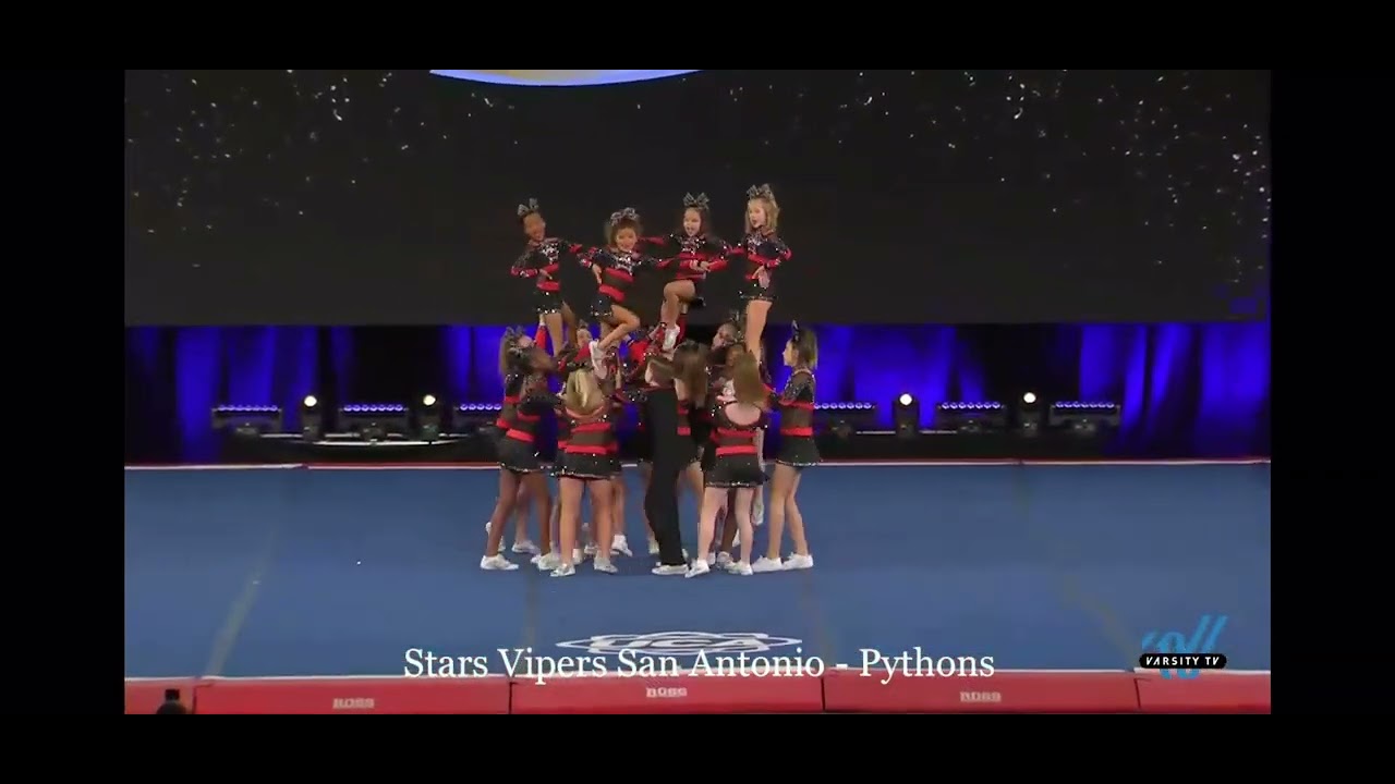 Stars Vipers Schertz- Pythons