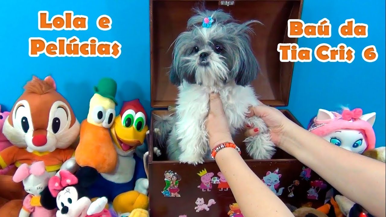 Lola Pelúcia? Que gracinha! Baú da tia Cris nº 6! 🐶 #euamoaLola #baudatiacris