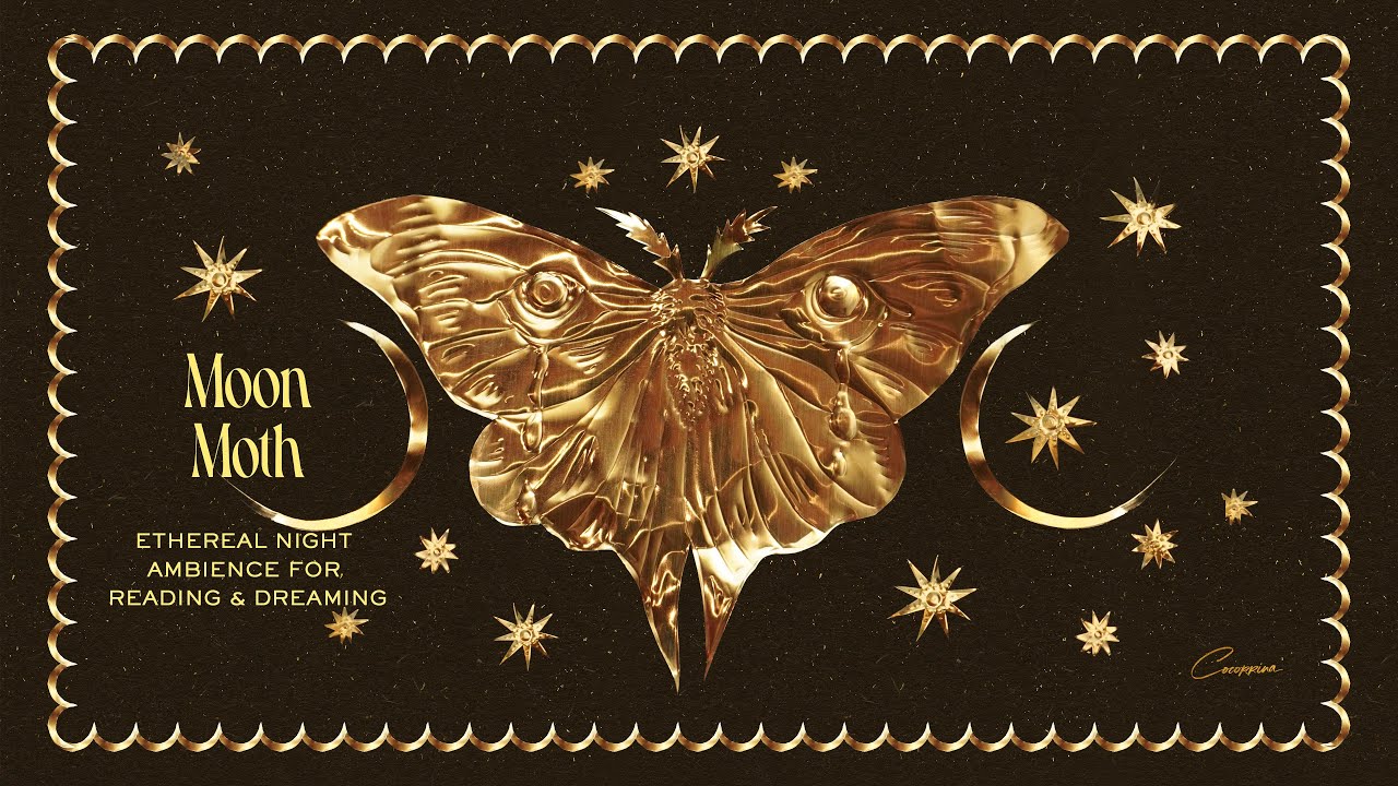 Moon Moth | Ethereal Night Ambience for Reading & Dreaming