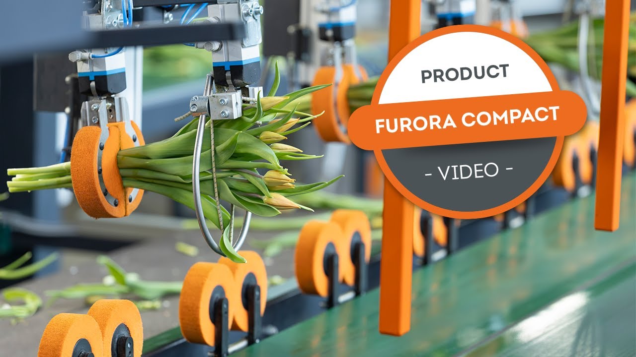 Productvideo Furora Compact - Bercomex