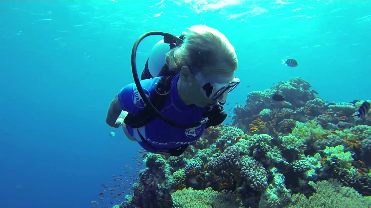 FEEL THE DIVE - SUBEX im Roten Meer, Ägypten