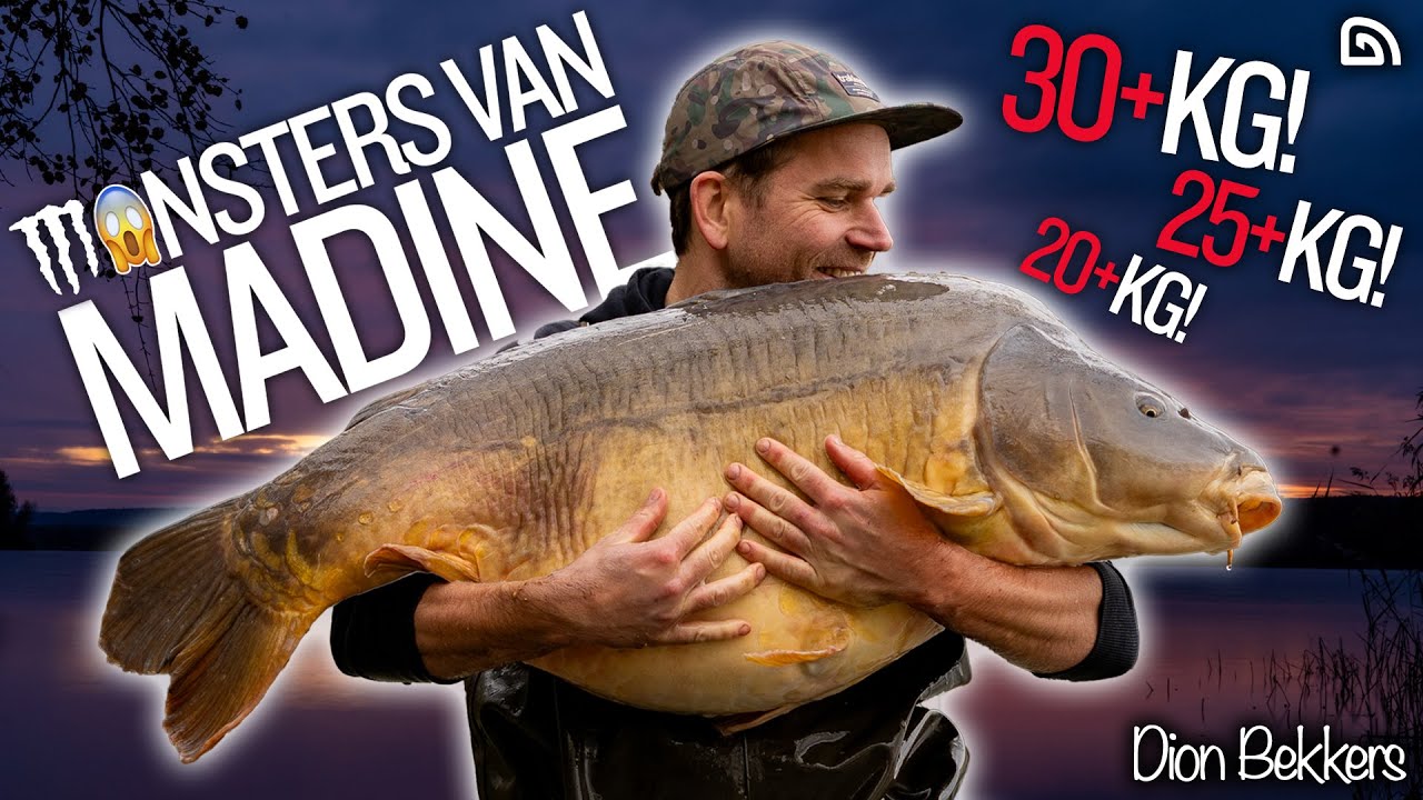 Monsters van Madine | Session of a Life Time - Dion Bekkers