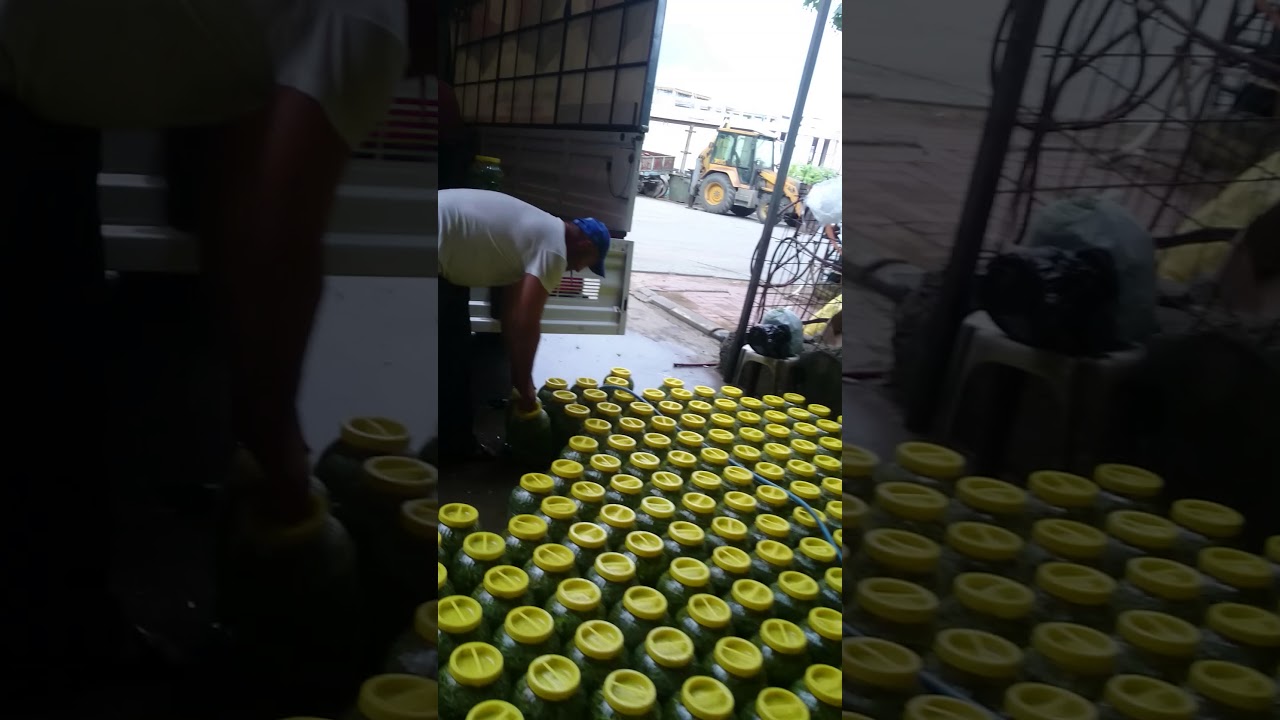 Kaya korugu turşu bizden sorulur