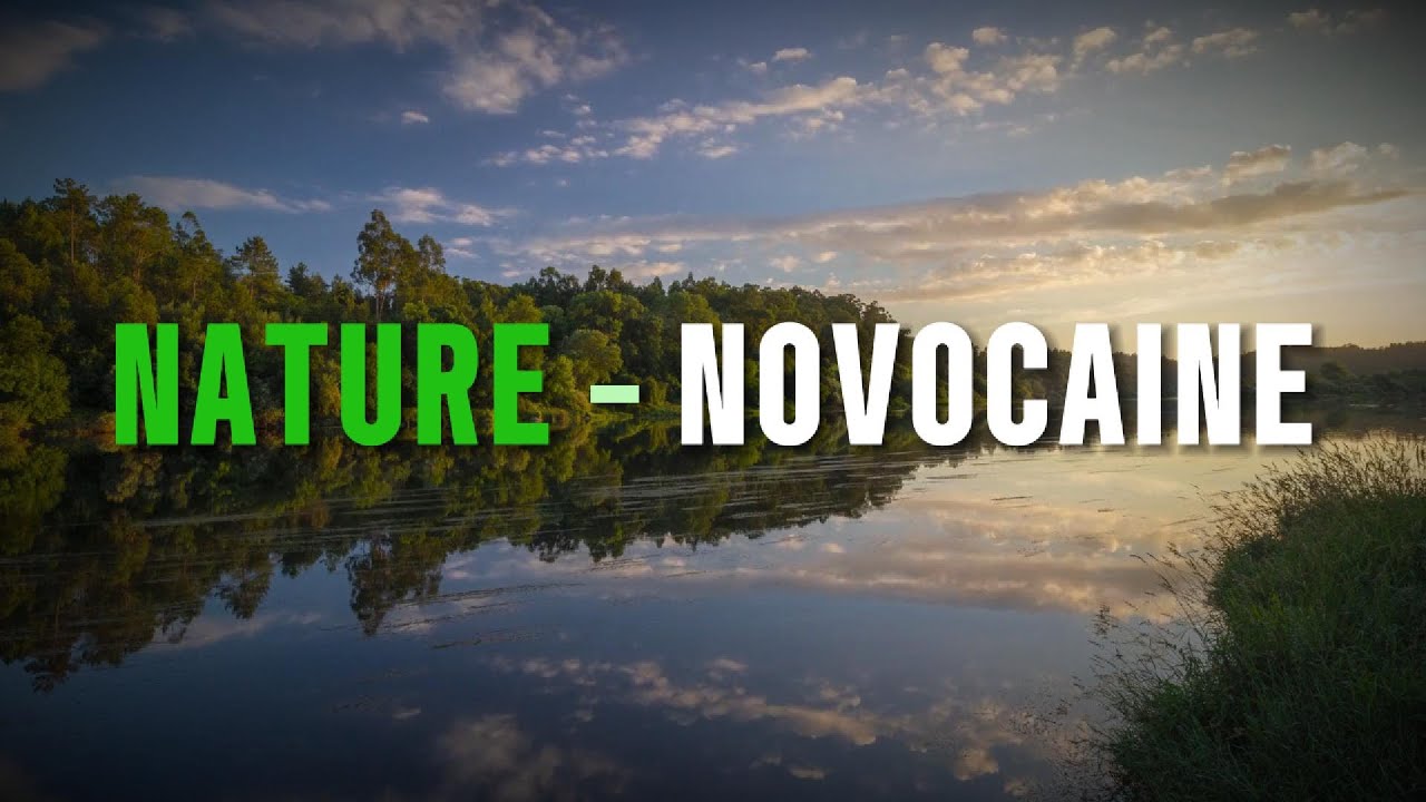 Nature | Novocaine [Edit]