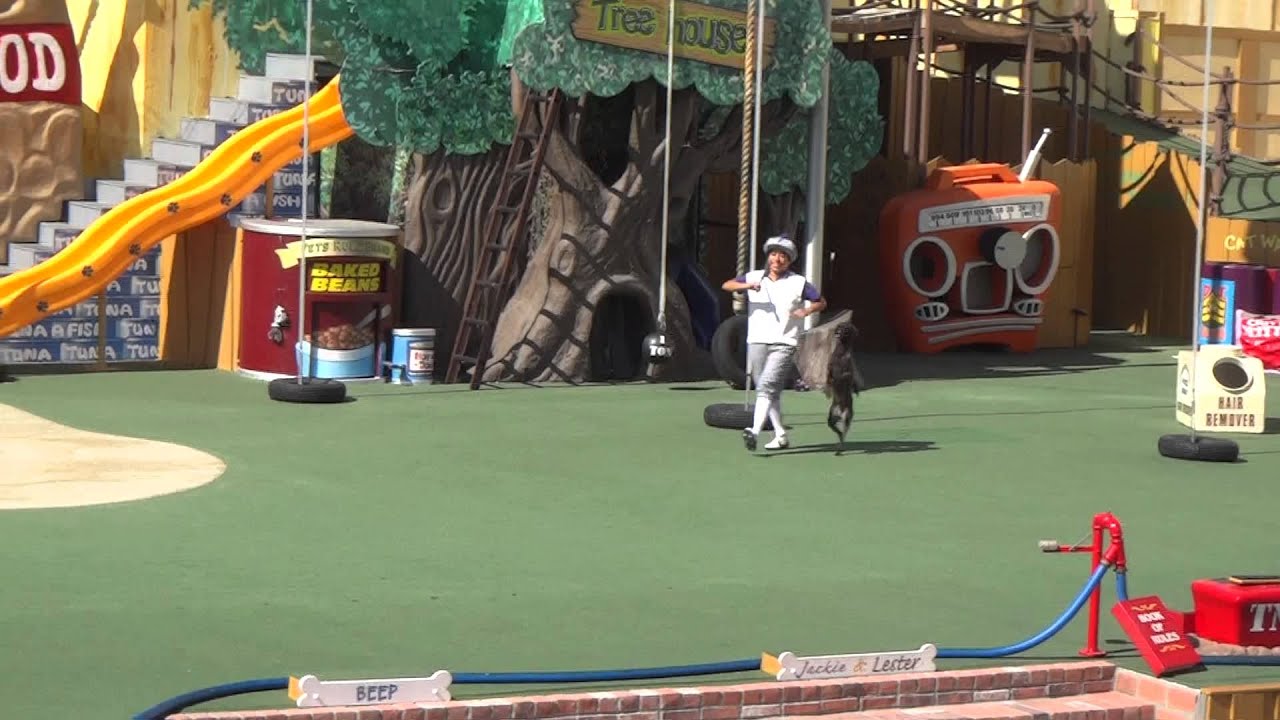 PETS RULE SHOW SEAWORLD SAN DIEGO 2013