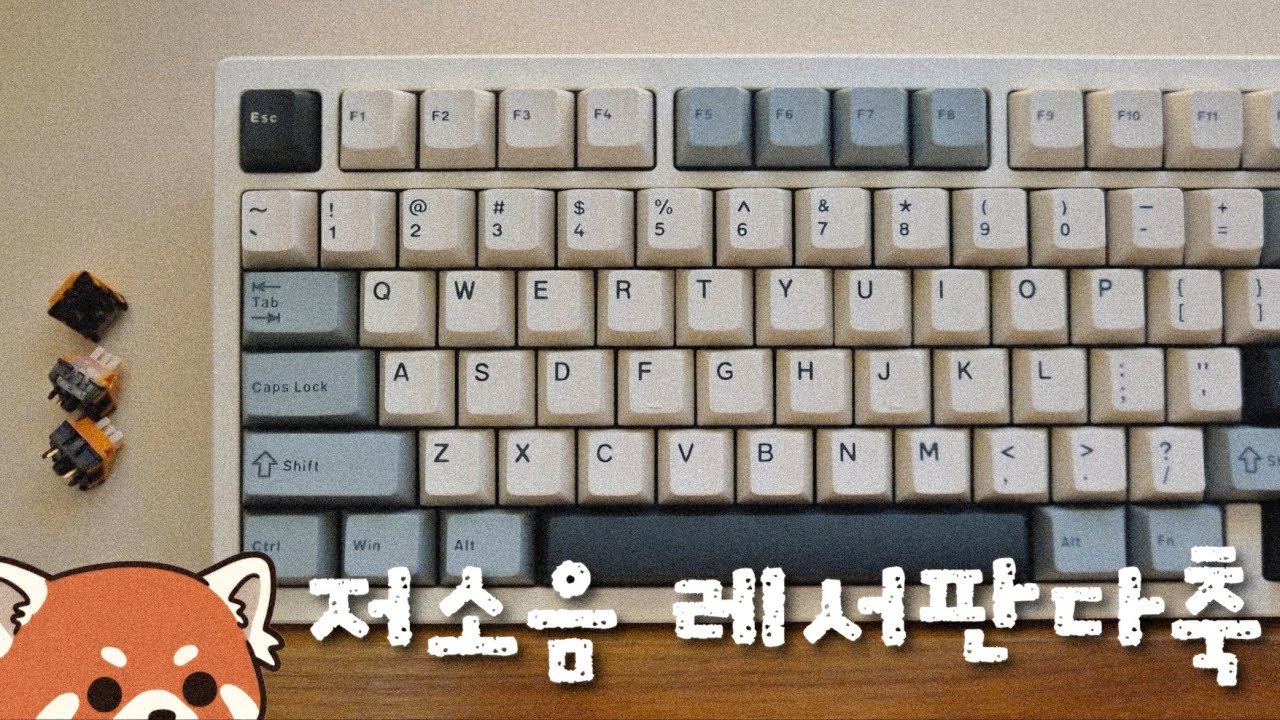 저소음 레서판다축 Wave75 신규 스위치🍃 | 포근하고 귀여운 타건감