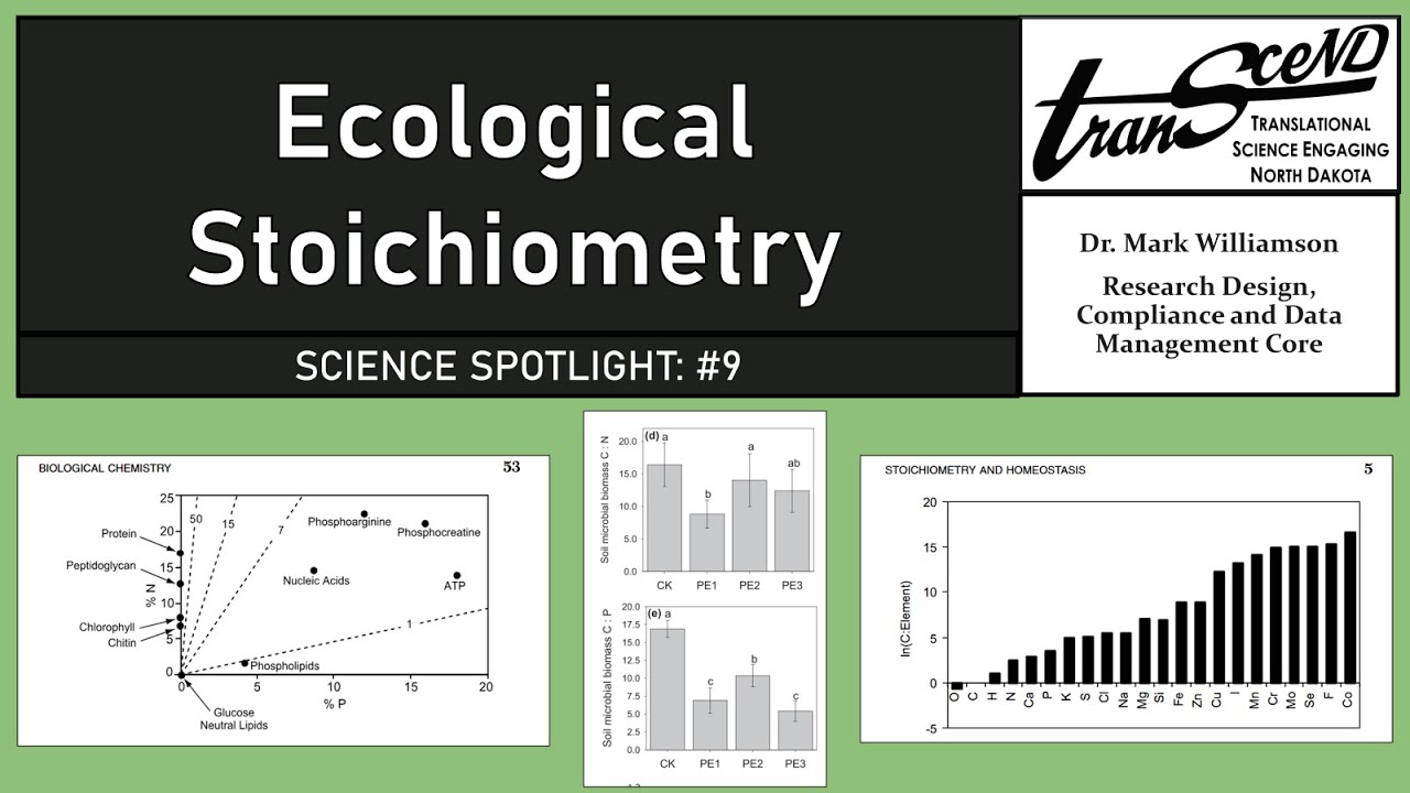 Ecological Stoichiometry
