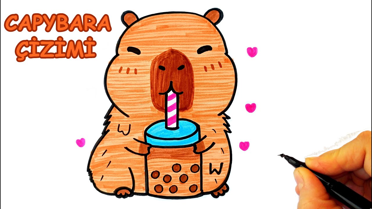 Sevimli Capybara Çizimi – Kolay ve Eğlenceli Adım Adım Kapibara Çizimi - Capybara Drawing