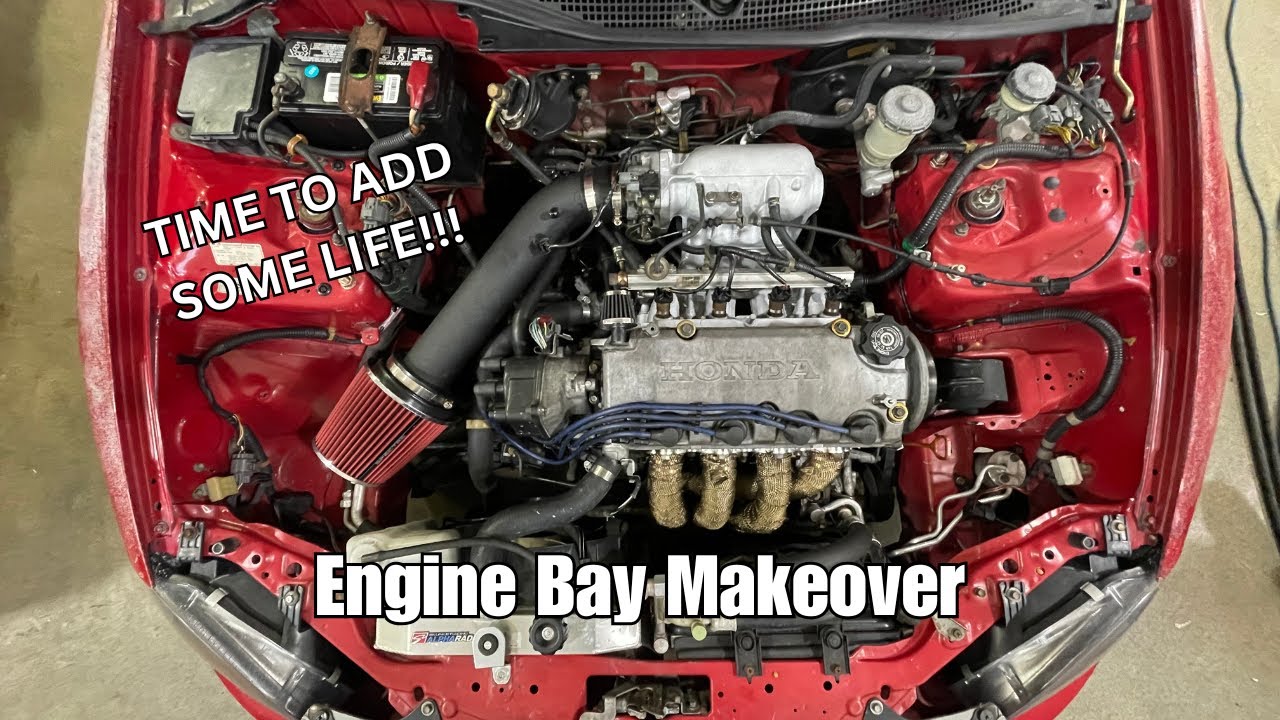 Engine Bay Makeover!