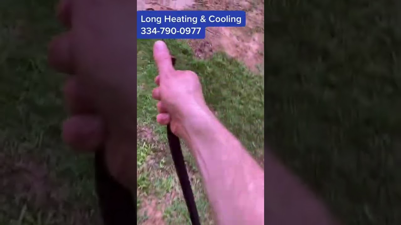 Your Dog May Be Destroying Your Air Conditioner#airconditioner #acrepair #acmaintenance