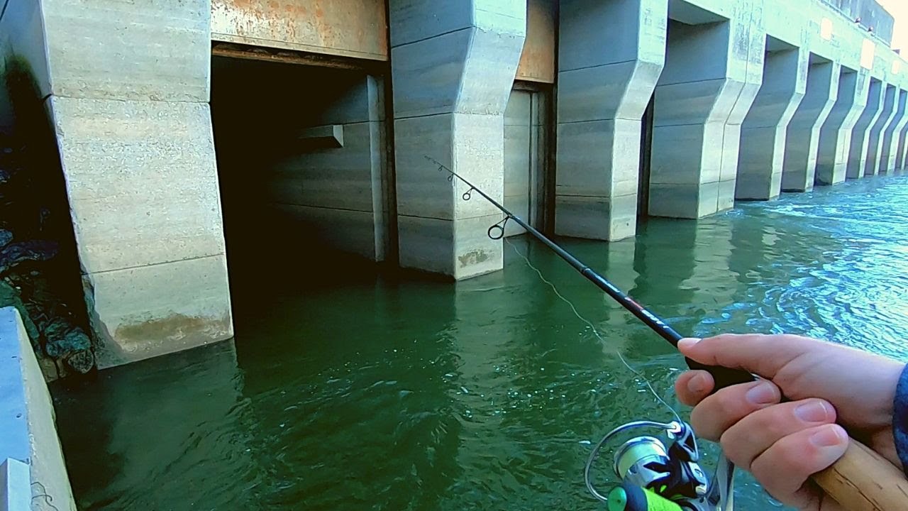 Fishing on Old Hickory Lake and Spillway