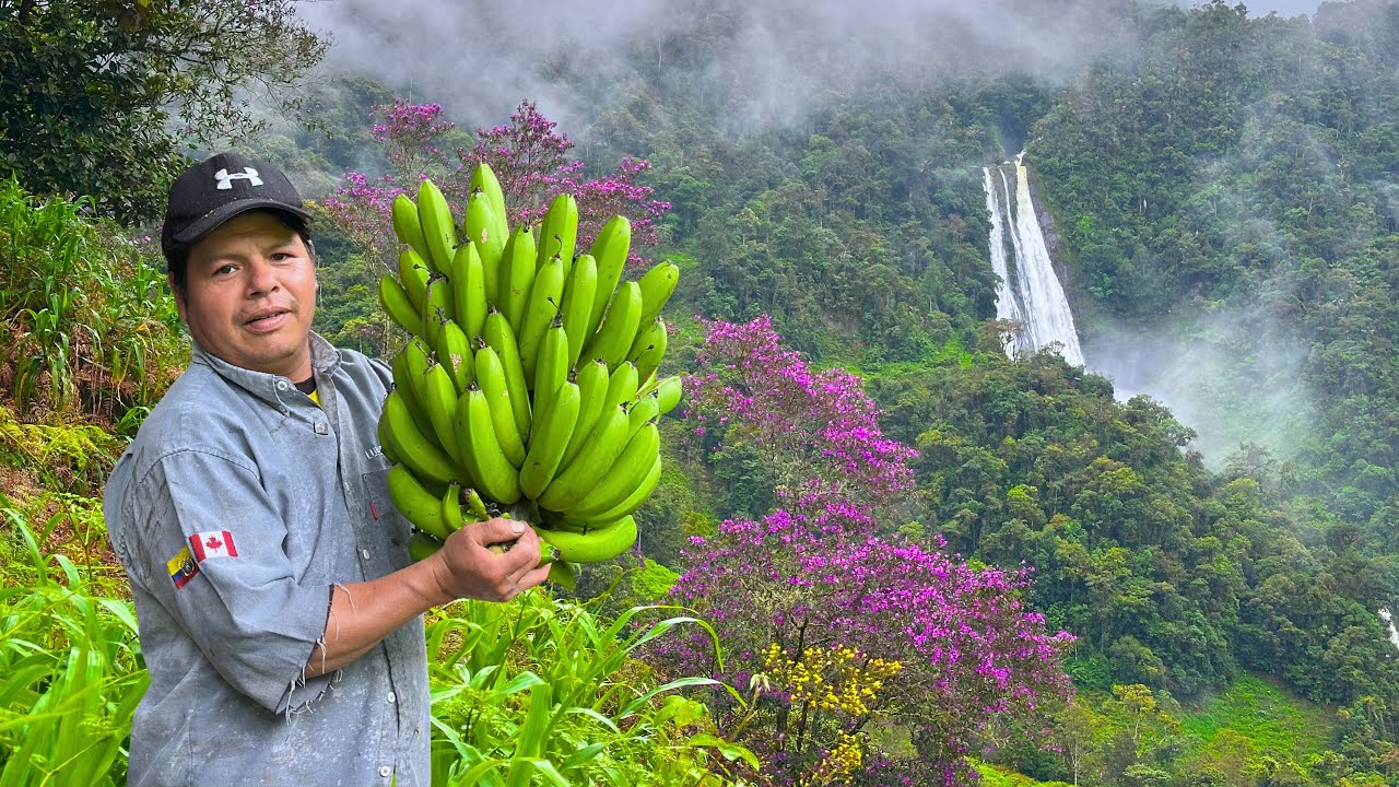 Hoy sali a la selva miren todo lo que encontre - DON PEDRITO