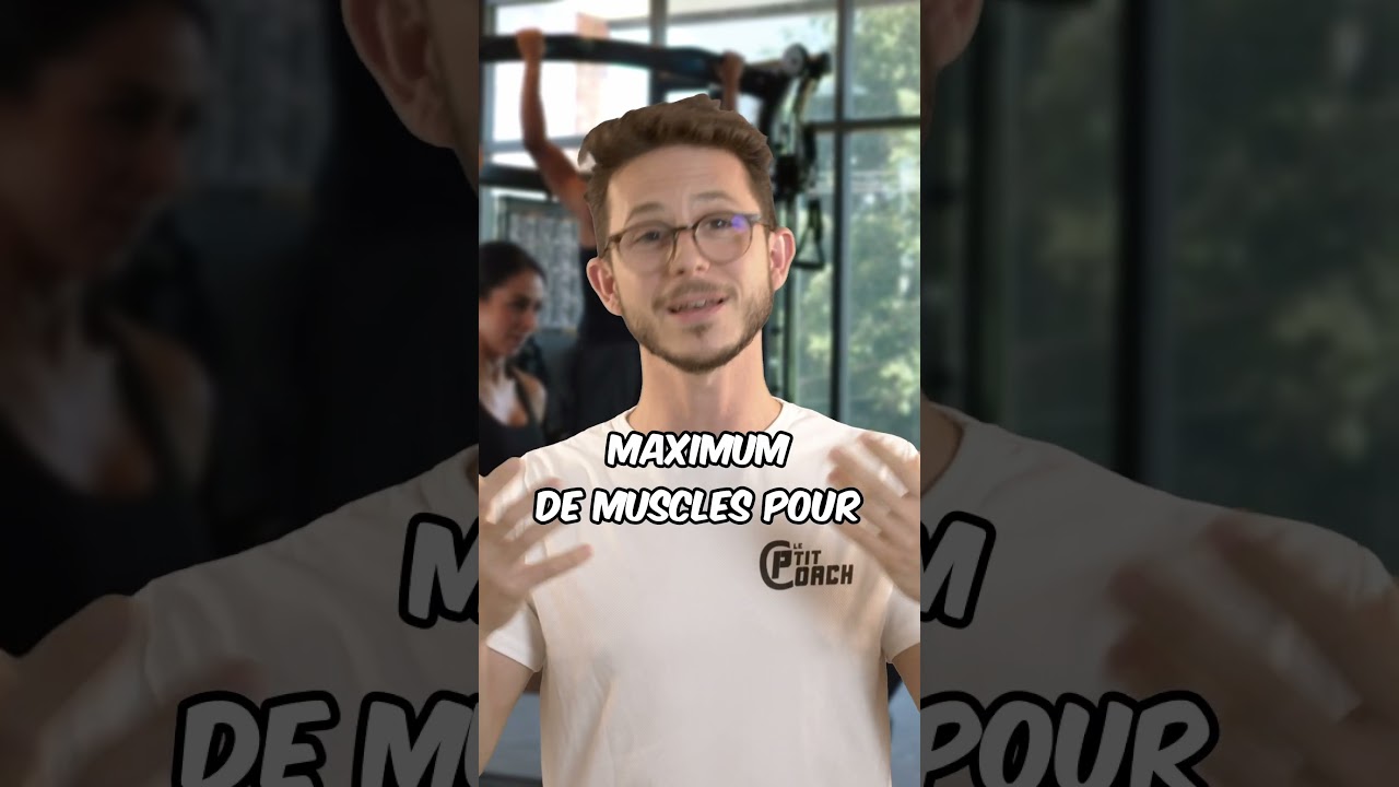 Débutant   Créatine   