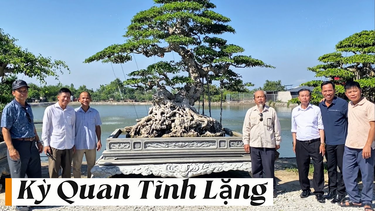 Kỳ Quan Tĩnh Lặng, Khu Vườn Cây Cảnh Nghệ Thuật Của Nghệ Nhân Phạm Thùy. #caycanh #bonsai #phamthuy