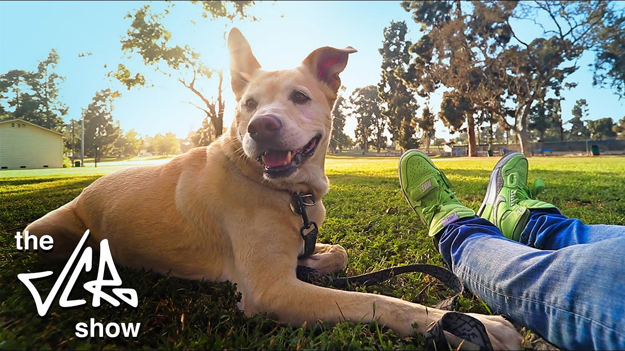 BUSY NOT PAINTING!  the JC Ro Show:  Season 2 - Episode 4