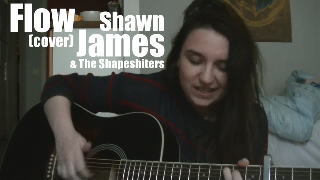 Flow - Shawn James & The Shapeshifters (Cover)