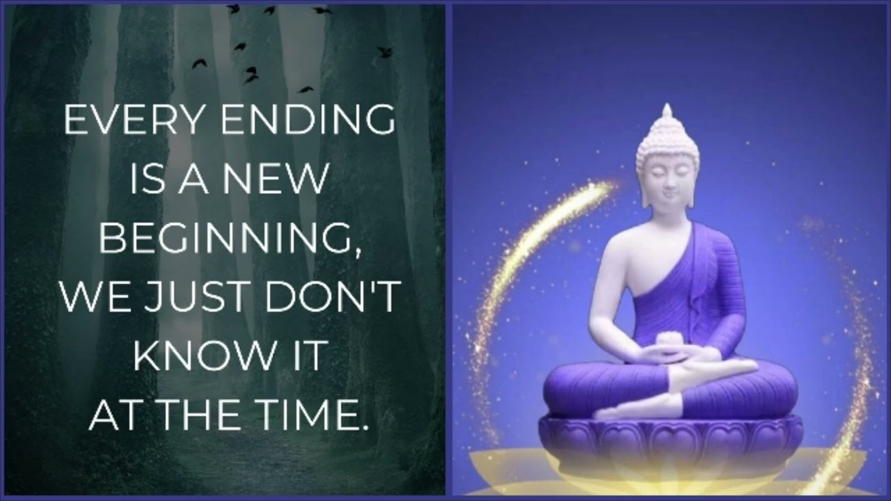 Life Changing Quotes From Budda # Day 69 | Pure Devine Energy