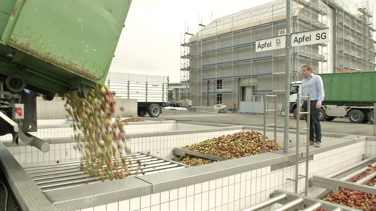 Vom Feld in die Flasche