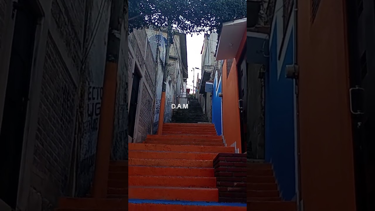 En México 🇲🇽 hay calles  de este estilo ya las cocinas chequen y disfruten 