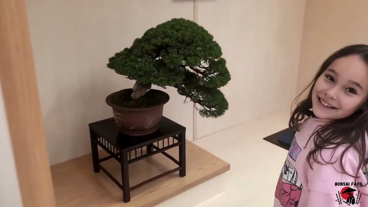 TANTAI Shohin Bonsai Expo.2025