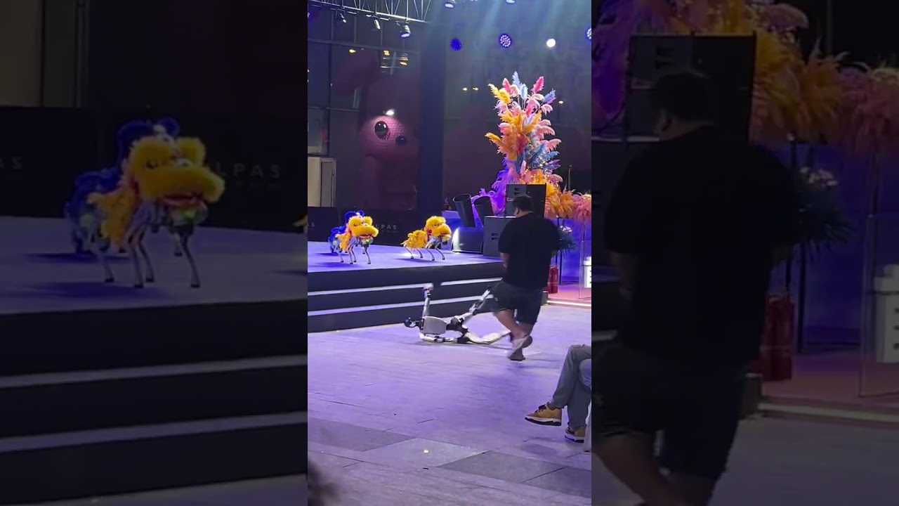 Robot falls during showcase in Hunan, China