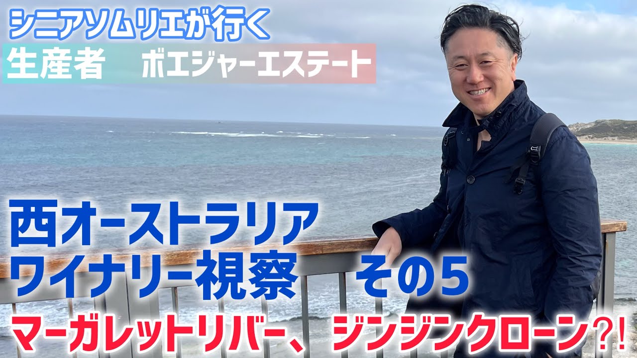 西オーストラリア　ワイナリー視察　その5 マーガレットリバー、ジンジンクローン⁉︎