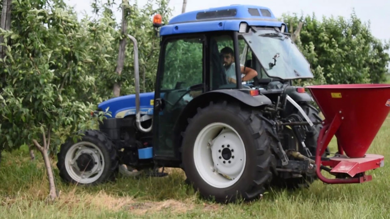 Fertilizing Apple trees with New Holland TN75FA