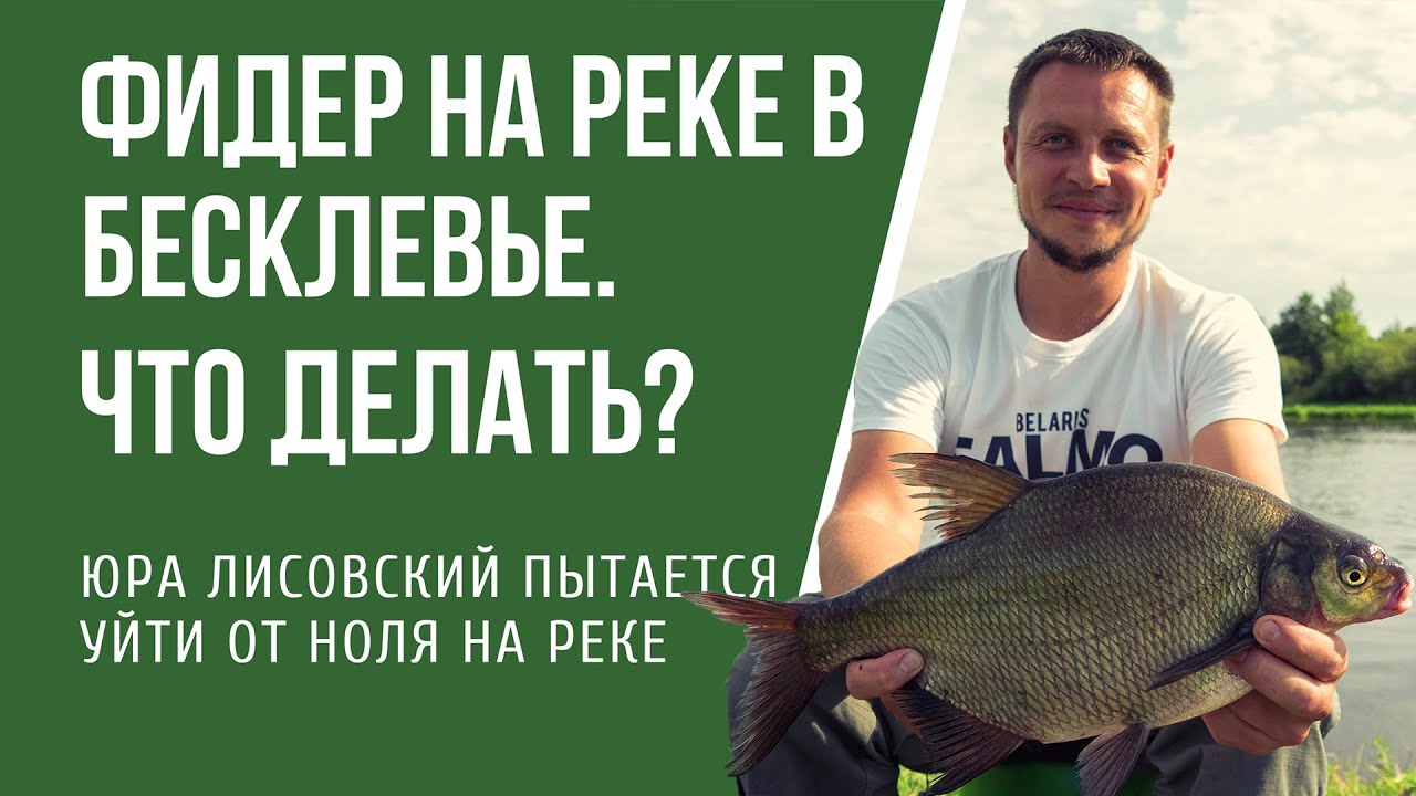 Как ловить фидером на реке, когда нет клева