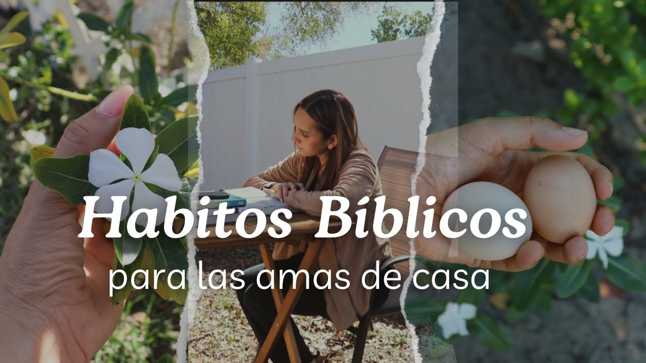 Protege tu Paz : 7 H&aacute;bitos B&iacute;blicos para las amas de casa para manejar el estr&eacute;s #amadecasa #b&iacute;blia