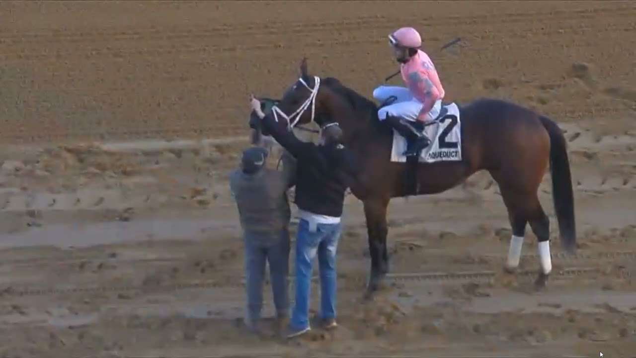 R7 20:42 Aqueduct 12 Feb 2026