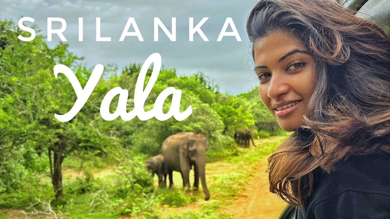 India to Srilanka - Yala National park