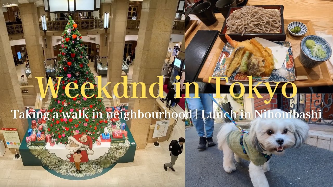 Slow Weekend Vlog in Tokyo 🇯🇵 Walking my dog & Elegant lunch in Nihonbashi