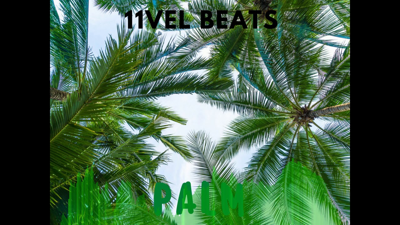 11VEL BEATS - Palm