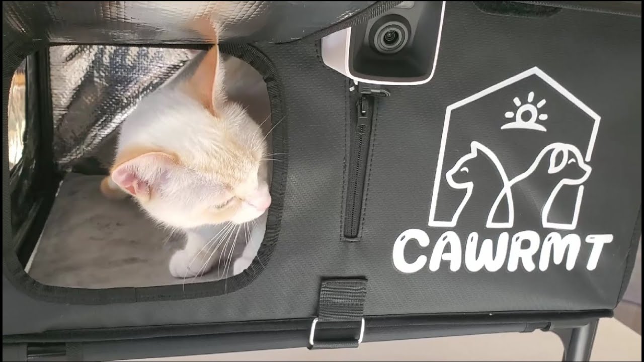 Best Heated Cat House for Winter Weather