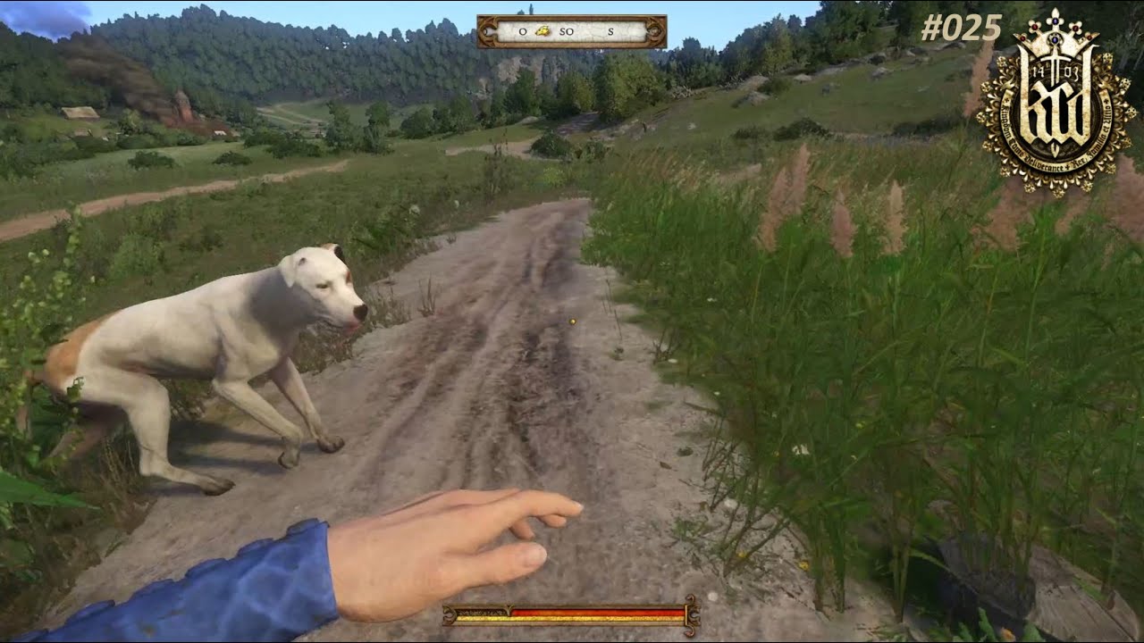 Let's Play Kingdom Come: Deliverance [Blind] #025 - Wie kann ein Hund nur soooooooo nerven? -.-