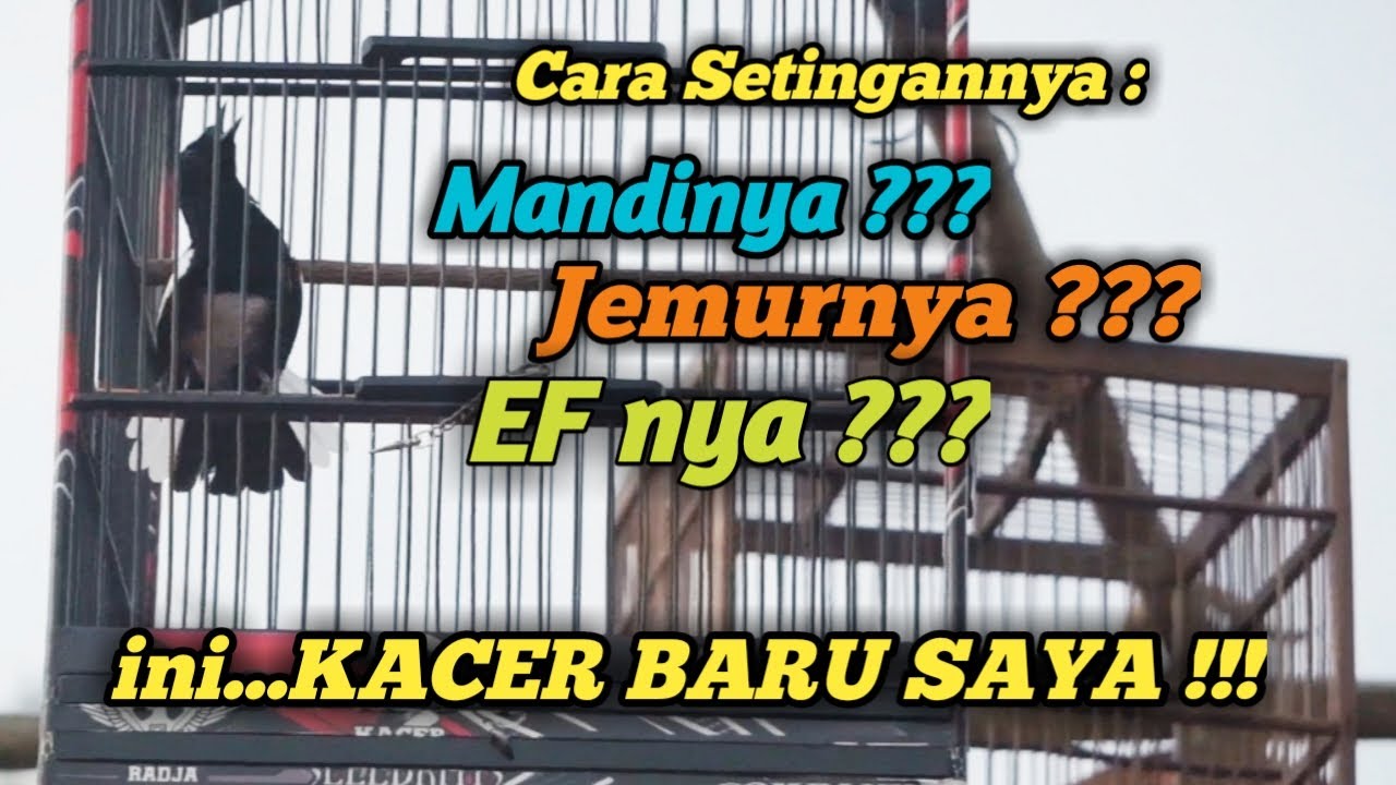 JANGAN SAMPAI SALAH !!! CARA SETING KACER TIPE DINGIN BIRAHI DALAM