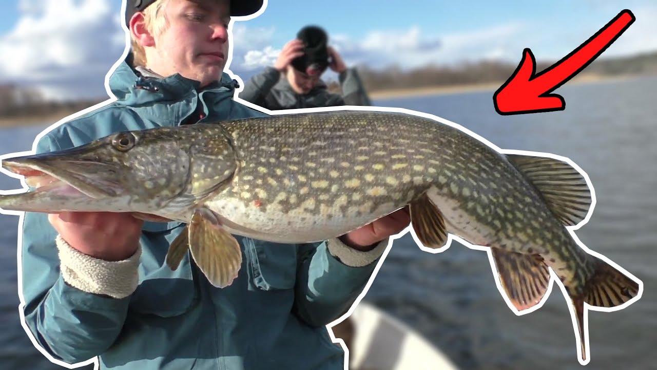 GALET FISKE!! Förleksfiske efter Gädda 2022!
