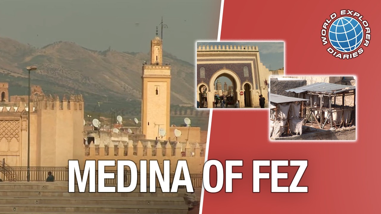 Medina Of Fez (2026) | World Explorer Diaries 🌎