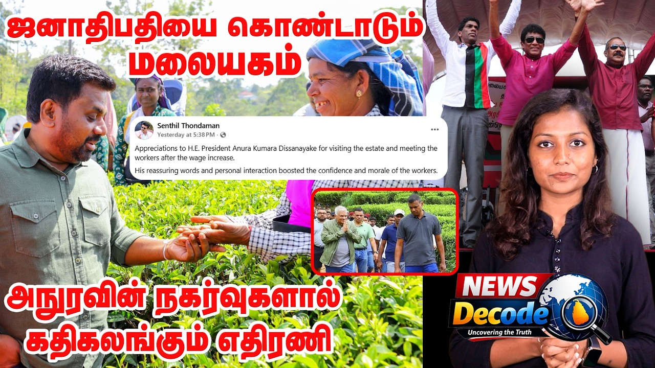 ஜனாதிபதியை கொண்டாடும் மலையகம்....! அநுரவின் நகர்வுகளால் கதிகலங்கும் எதிரணி