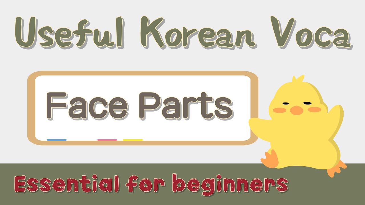 Face Parts in Korean👄🇰🇷 Korean vocabulary essentials | with PDF material for review 👀📚