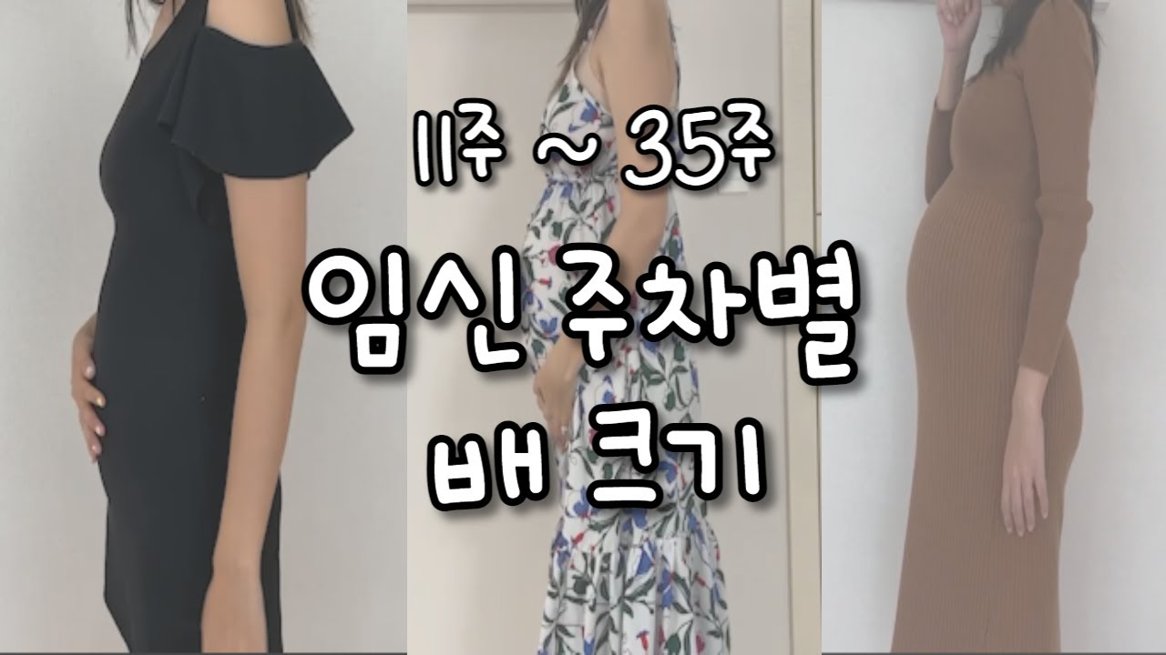 임신 주차별 배크기 !  ( 11주~ 35주 주수별 배크기 )